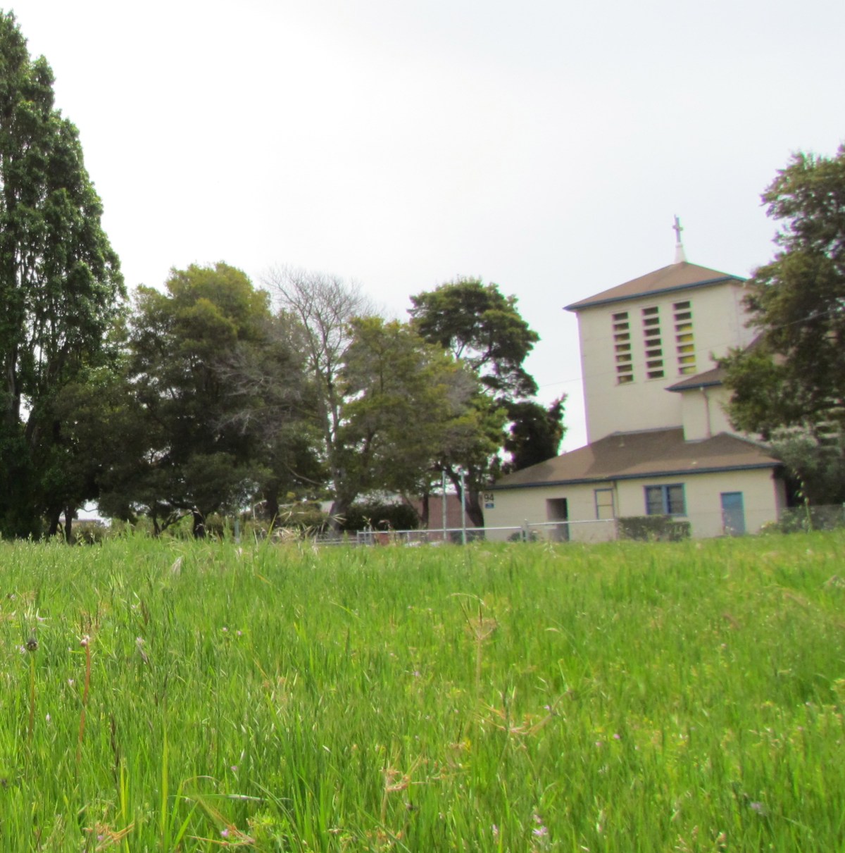 Point Being:  Are Point Veggies&nbsp;Safe?