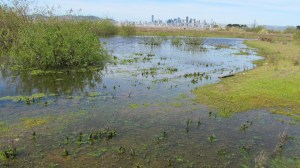 Northwest Territories at Alameda Point