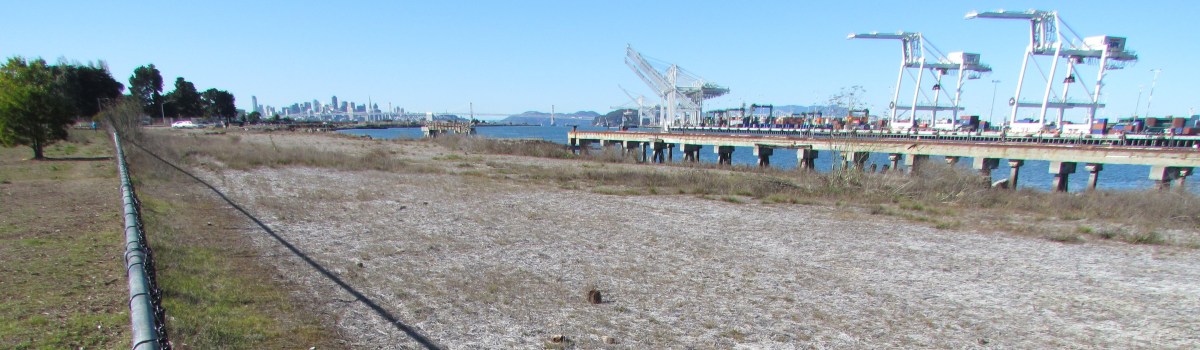 Todd Shipyards copper&nbsp;cleanup