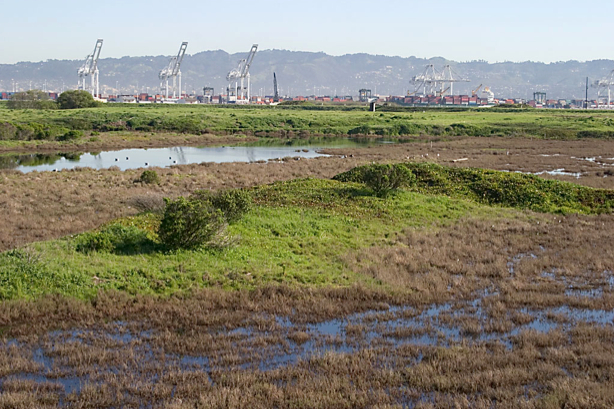 Scenic Alameda Point wildlife refuge section to be off limits with security&nbsp;fence