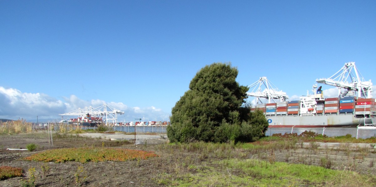 Soil cleanup planned at runway workshops&nbsp;area