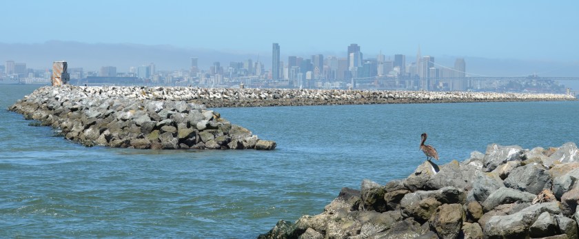 Breakwater Island at Alameda Point
