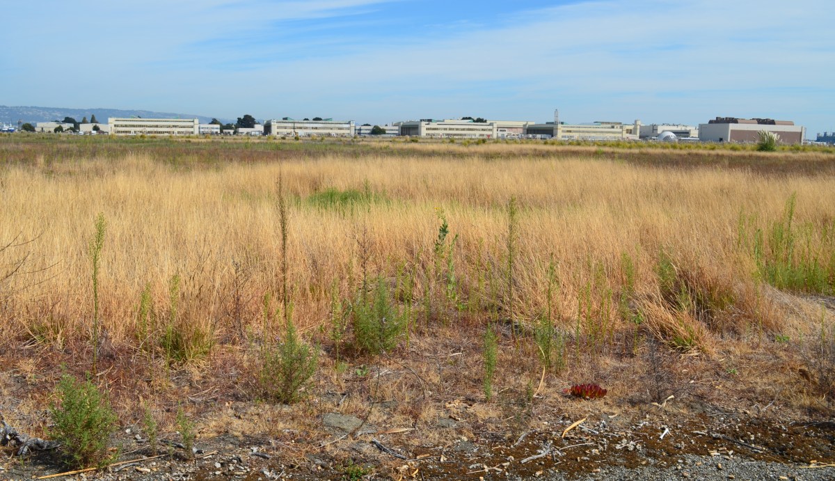 Zone the wildlife refuge “Open&nbsp;Space”