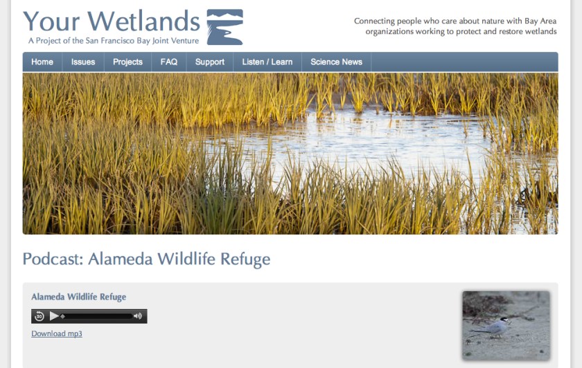 Your Wetlands podcast AWR