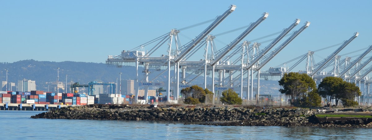 Cleanup plan changes at waste burning&nbsp;area