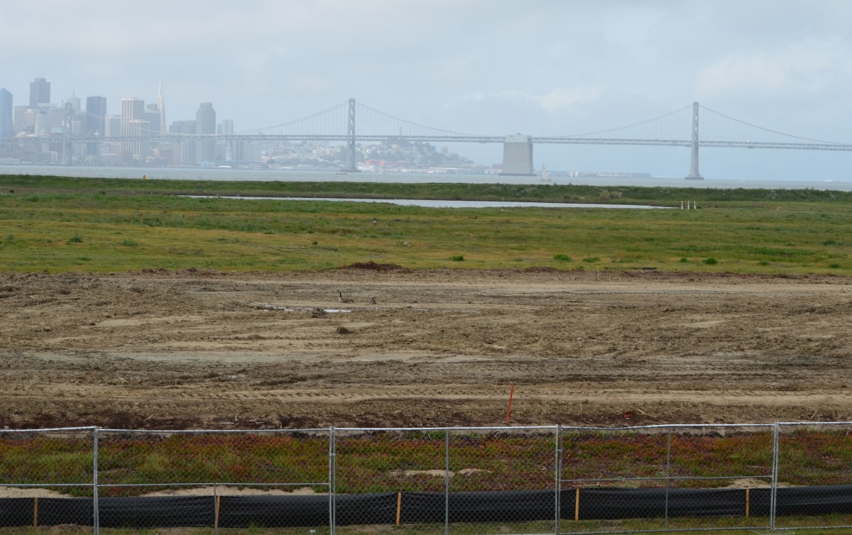 Landscaping the Navy’s underground waste disposal&nbsp;site
