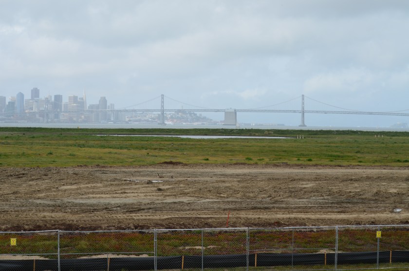 Site 2 where industrial waste is buried.  Area up to the wetland will be covered with two feet of additional soil.