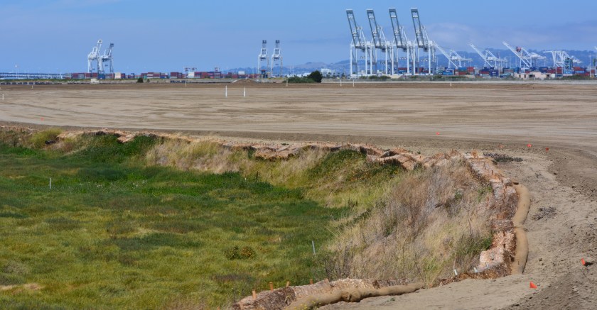 Transition from soil cover to wetland.  Port of Oakland in background.