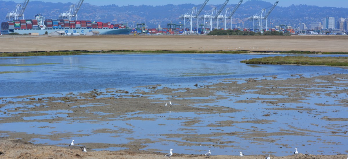 Massive landscaping project changing scenic area on Nature&nbsp;Reserve