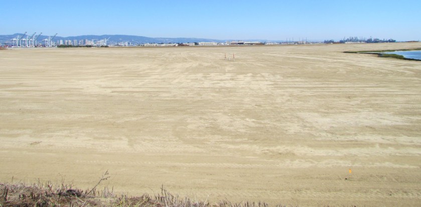Looking east at partially completed soil cover from the western shoreline of Alameda Point.