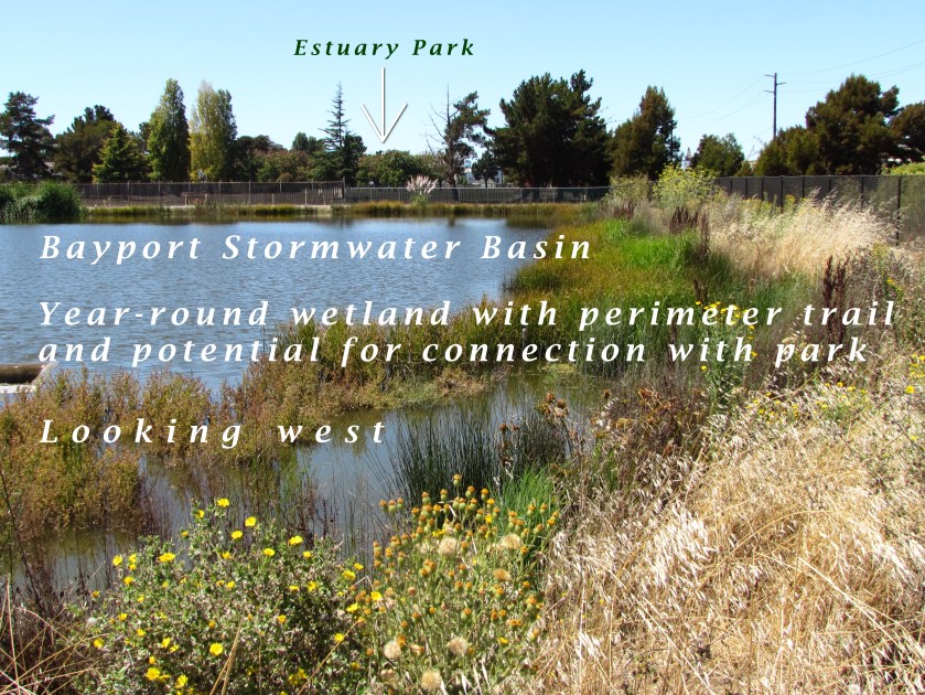 This stormwater basin was constructed by Catellus to serve the Bayport neighborhood.  It remains full year-round due to groundwater being continuously pumped from the special pumping station next to Shinsei Gardens.  Overflow is sent to the Oakland Estuary via another pump station.