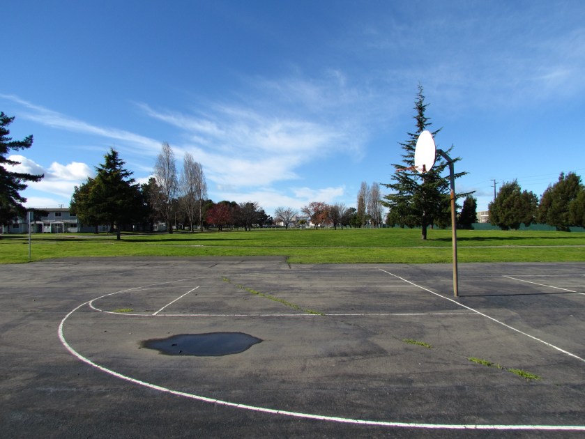 Estuary Park looking west.  Past the trees in the distance is the baseball field.