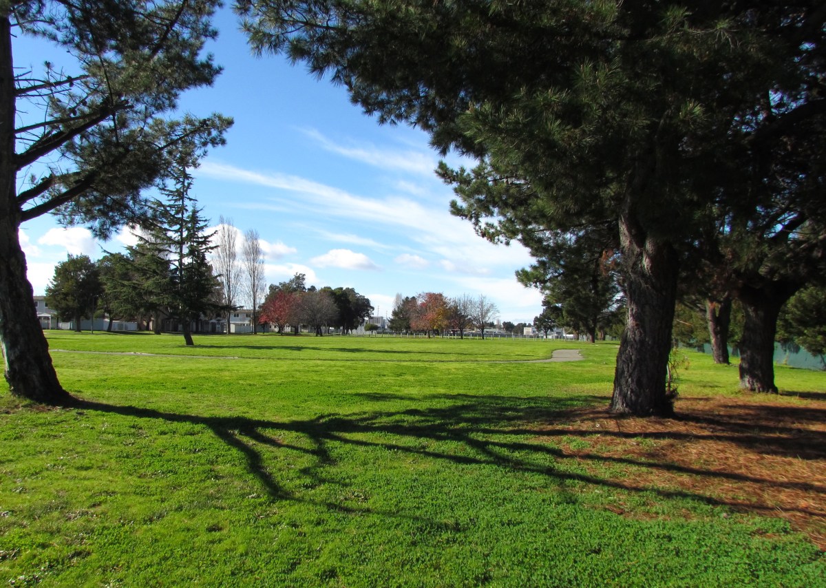 Parkland and housing land coming soon from the&nbsp;Navy