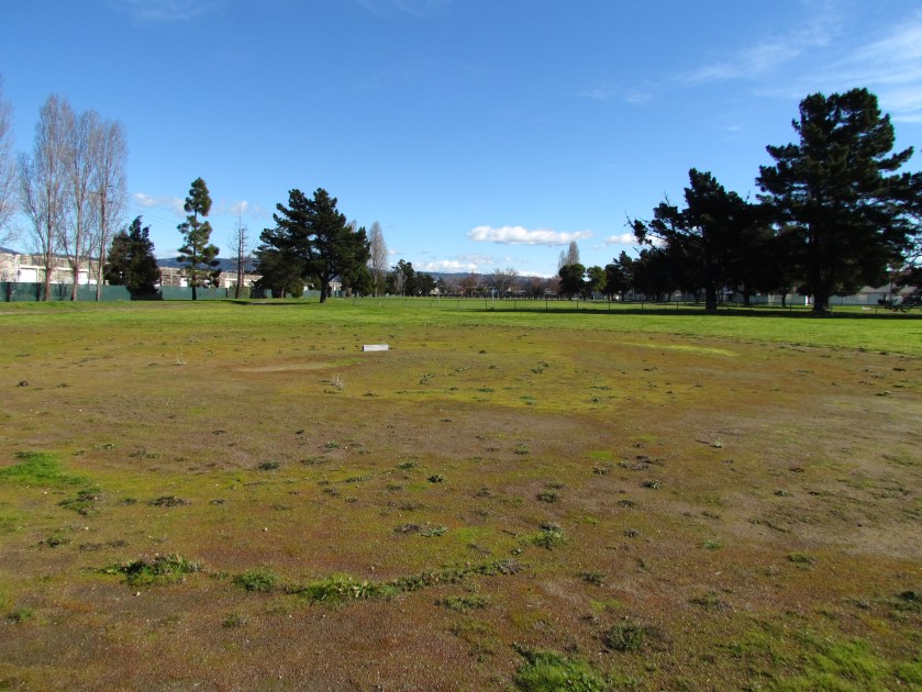 Estuary Park baseball field.  Looking east.