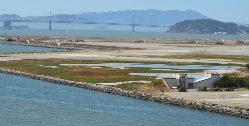 Runway Wetland in foreground is the best area in which to add additional wetland as mitigation for losses in the VA developed area to the far right on the airfield.
