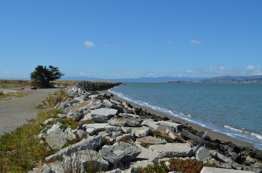 Alameda Point western shoreline where one-acre public access site with parking will be constructed on VA property.  Looking south.