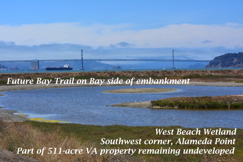 Part of the 511 acres that will be owned by the VA and remain undeveloped.  Current restrictions call for prohibiting Bay Trail access to this area from April 1 to mid-August because of potential threats to least terns that nest about a half-mile to the east.