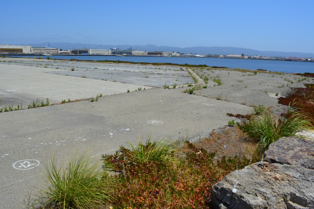 Shoreline grassland, wetland:  An opportunity now at Alameda&nbsp;Point