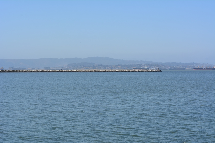Breakwater Island viewed from shoreline on west side of Seaplane Lagoon.  Breakwater Island is a roosting site for CA Brown Pelicans and other birds.  Island owned by city of Alameda.