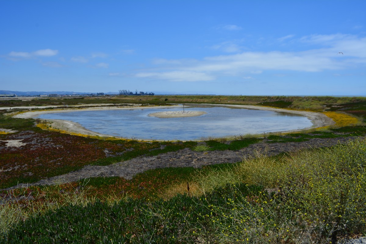 Environmental cleanup reaches milestones as work&nbsp;continues