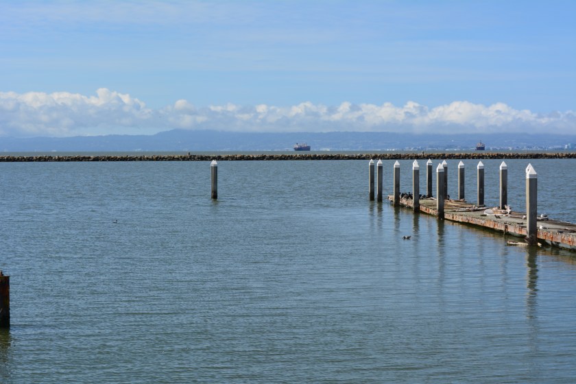 Recreational boating dock where harbor seals haul out, as it appeared on May 9, 2014.
