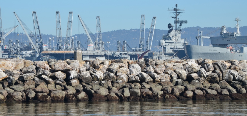 Breakwater Island landscape that Fisheries Service and city of Alameda say is suitable harbor seal haul-out habitat.  