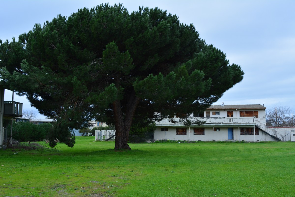 News updates:  Main St. neighborhood planning, Veteran Affairs project, ferry&nbsp;service