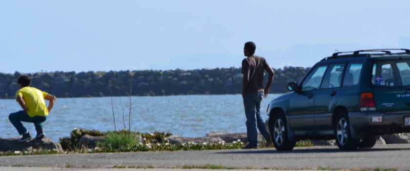 Car visitors to shoreline