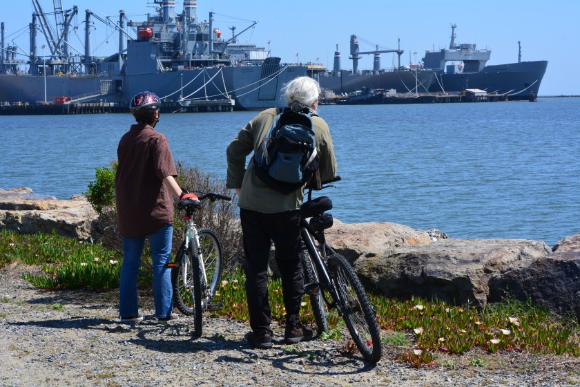 Cyclists on the shoreline