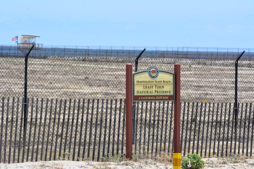 Huntington Beach Least Tern Natural Preserve