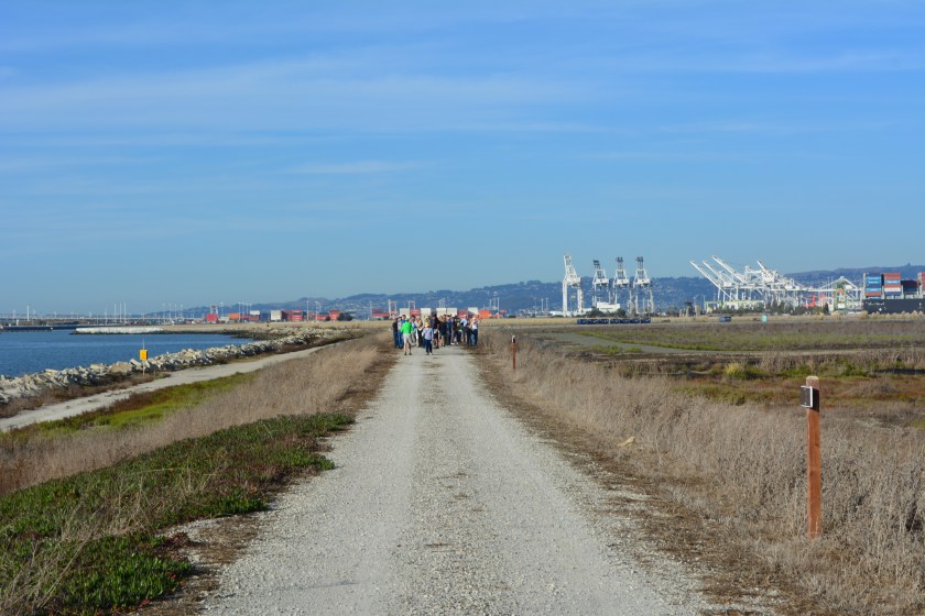 View of the trail on embankment, with tour group and Port of Oakland in the background. Wetlands are to the right. San Francisco Bay is to the left.