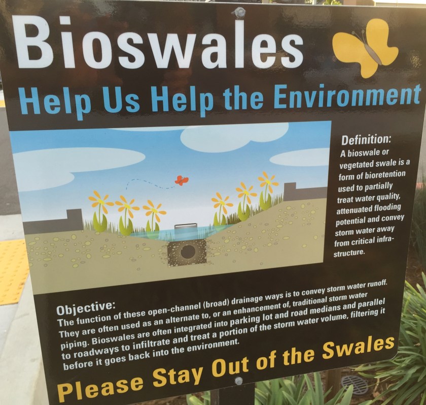 Description of "bioswales" in Alameda Landing parking lot.