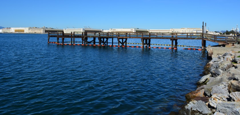 Location of proposed Seaplane Lagoon ferry terminal. Looking north, with Ferry Point Road to the immediate right.
