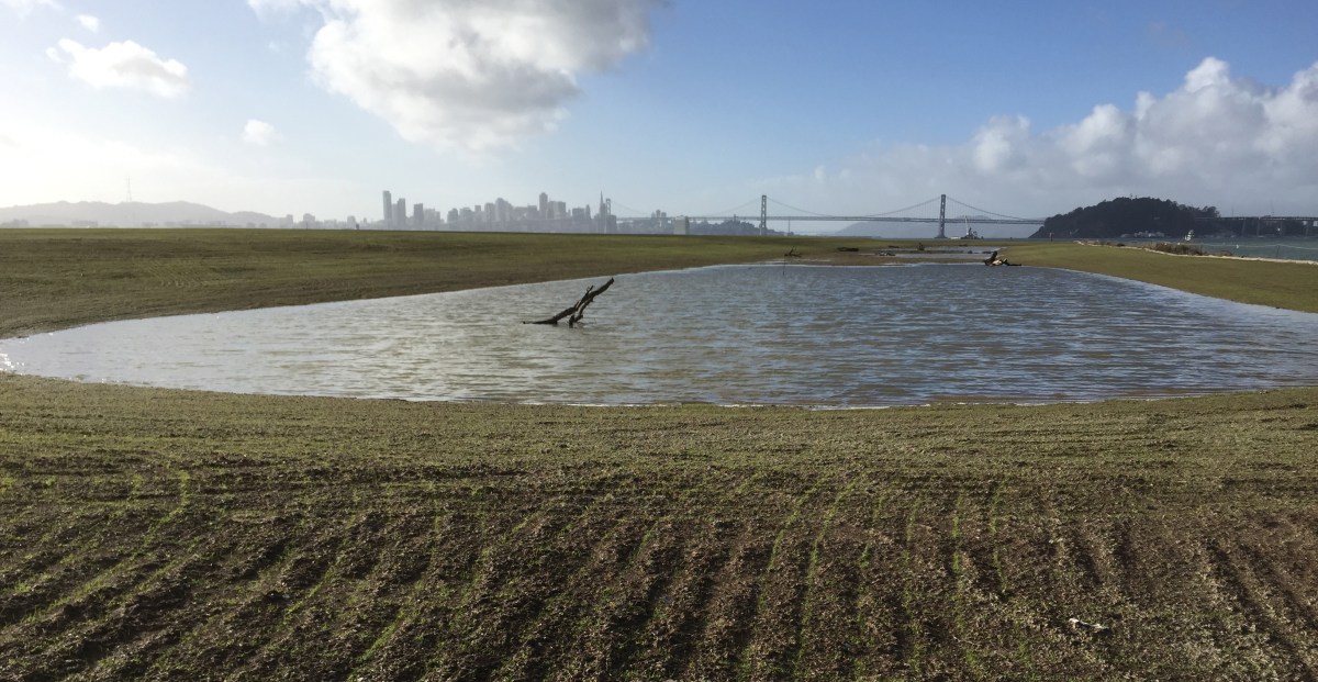 Navy adds a wetland and&nbsp;grassland