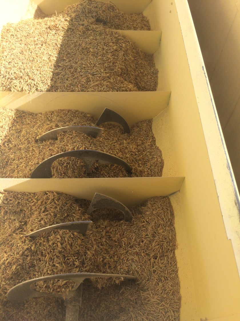 Native grass seeds loaded into disc planter. Navy photo.