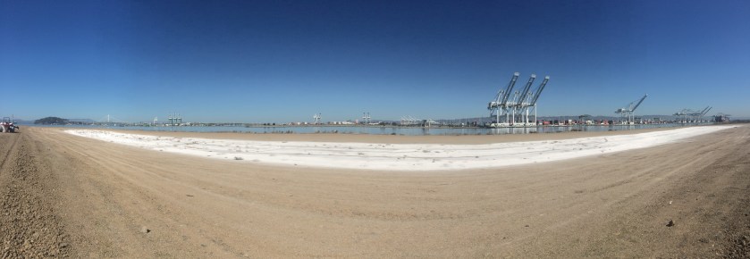 Wetland with soil amendments added. Navy photo.