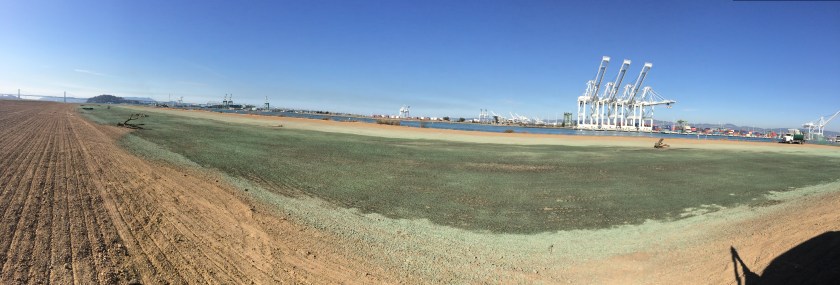 Wetland after placing wood features and mulch. Navy photo.