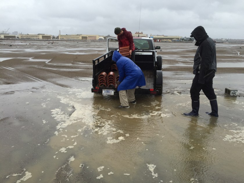 Employees of St. George Spirits volunteering on March 13, 2016.