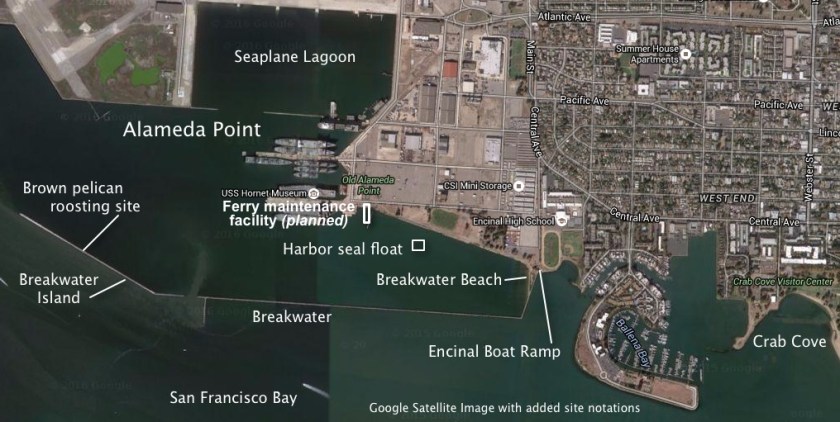 Permanent location of harbor seal float indicated on image, along with ferry maintenance facility. Groundbreaking for maintenance facility Sept. 15, 2016.