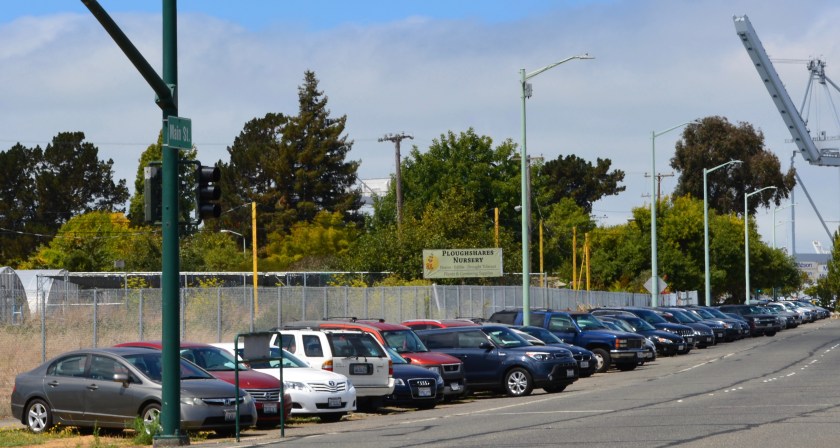 Ferry riders' vehicles parked on shoulder of Main Street at Singleton Avenue.