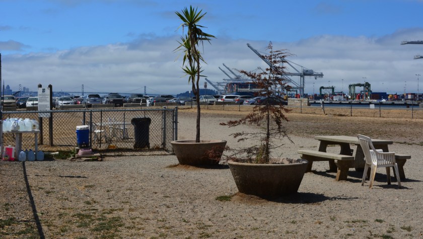 Main Street dog park.