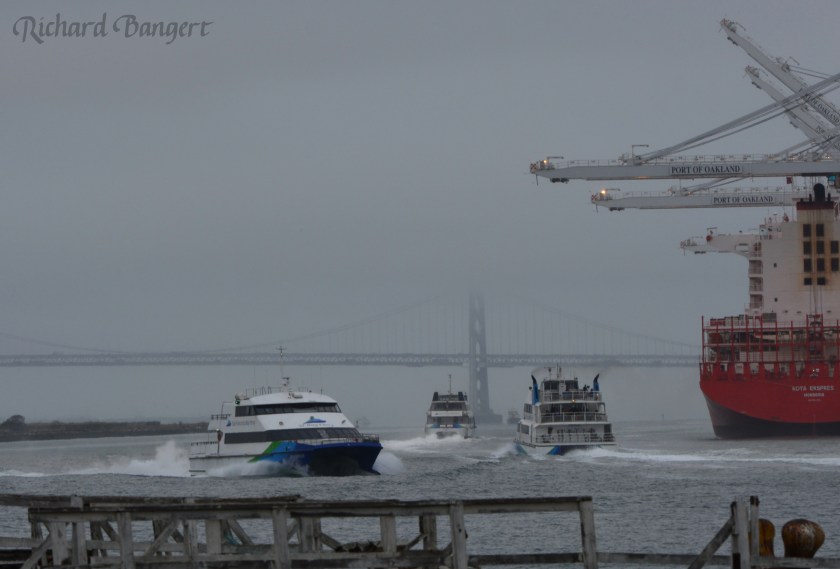 WETA ferries operating on Oakland Estuary during weekday morning commute time.