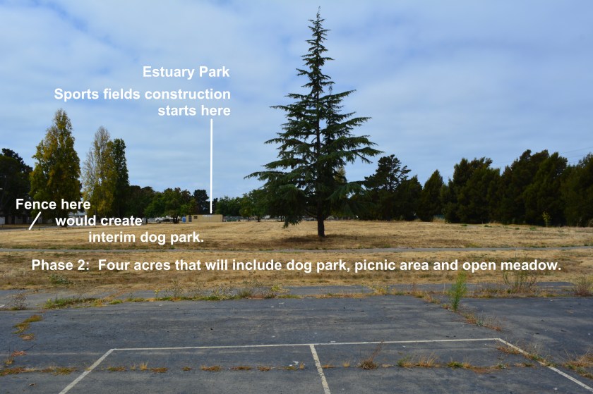 Estuary Park Phase 2 area