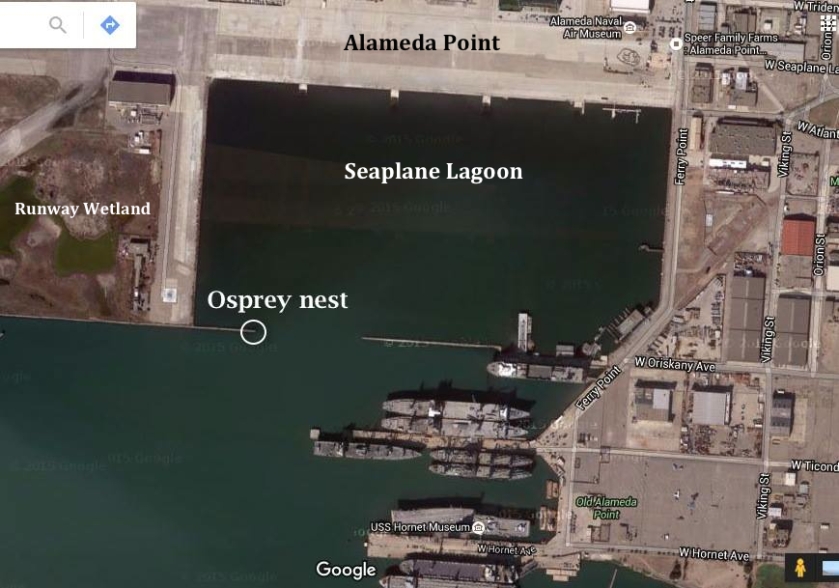osprey-nest-map