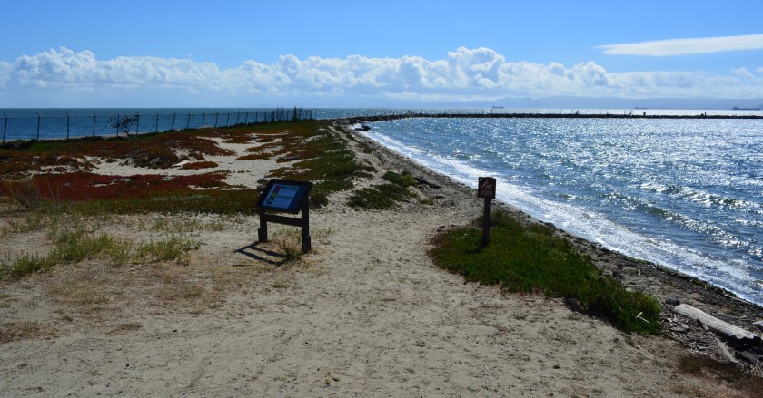 Breakwater Beach at Alameda Point