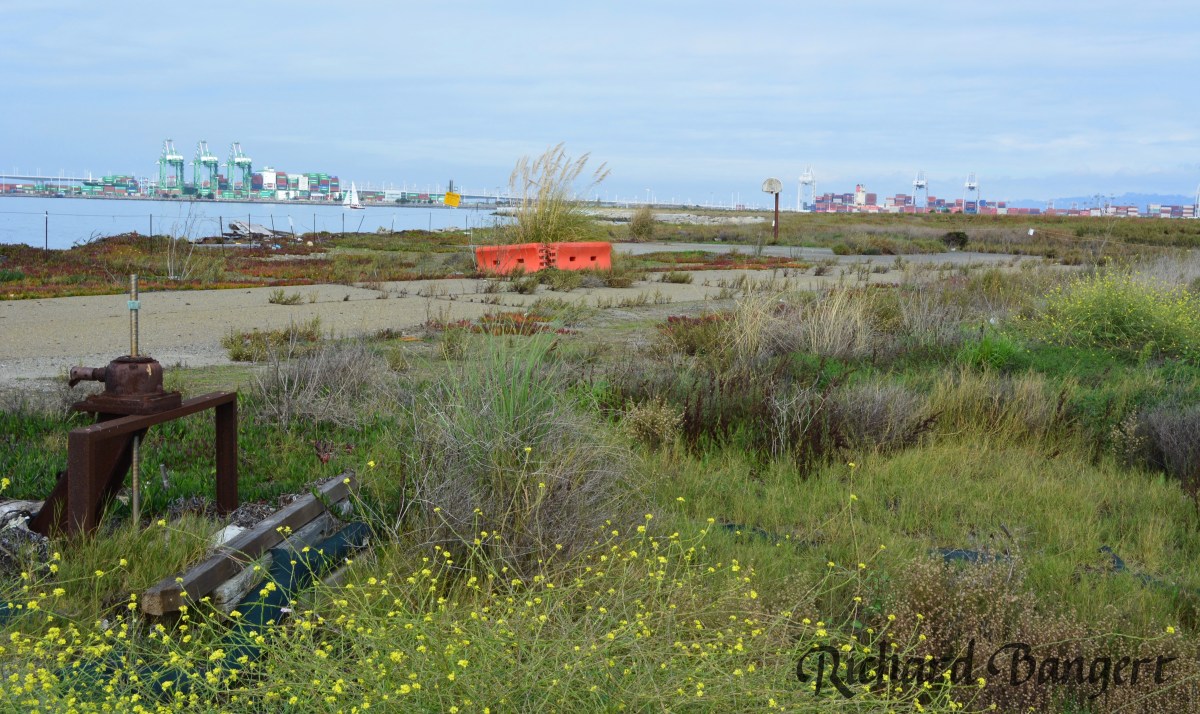 Navy presents parkland cleanup&nbsp;plans