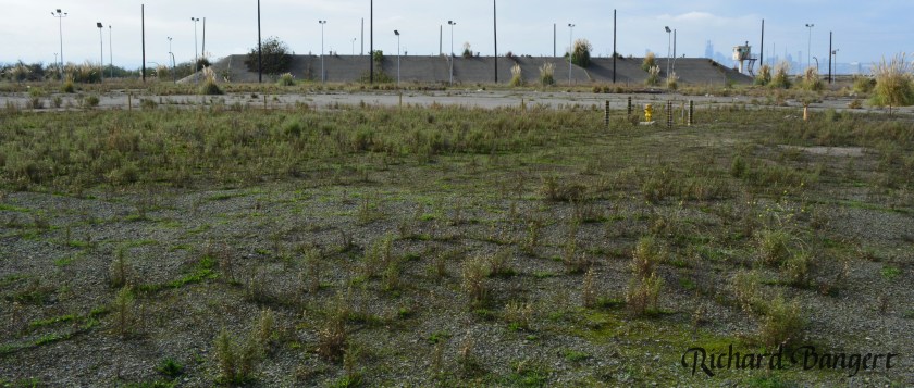 grassland-and-bunker-site-32