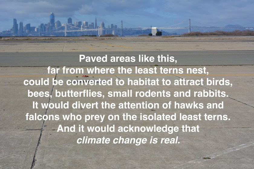 Approximately 300 acres of the VA's undeveloped area are paved.