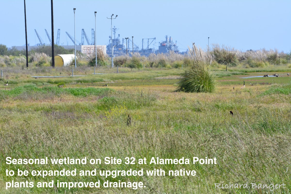 Navy to create new&nbsp;wetlands