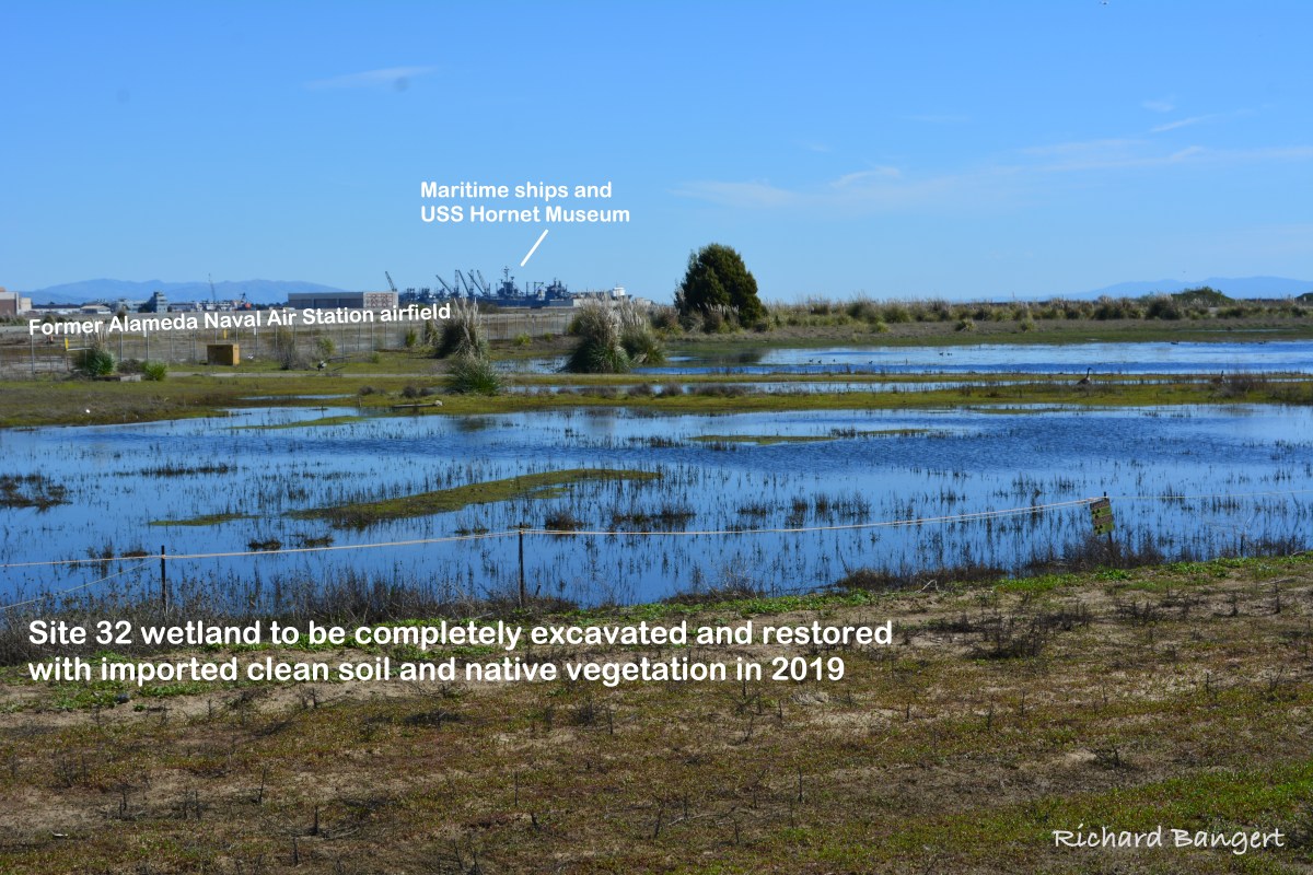 Views of wetland cleanup area to be dug up, upgraded in&nbsp;2019